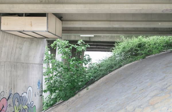 Man Builds a Secret Studio Under a Bridge